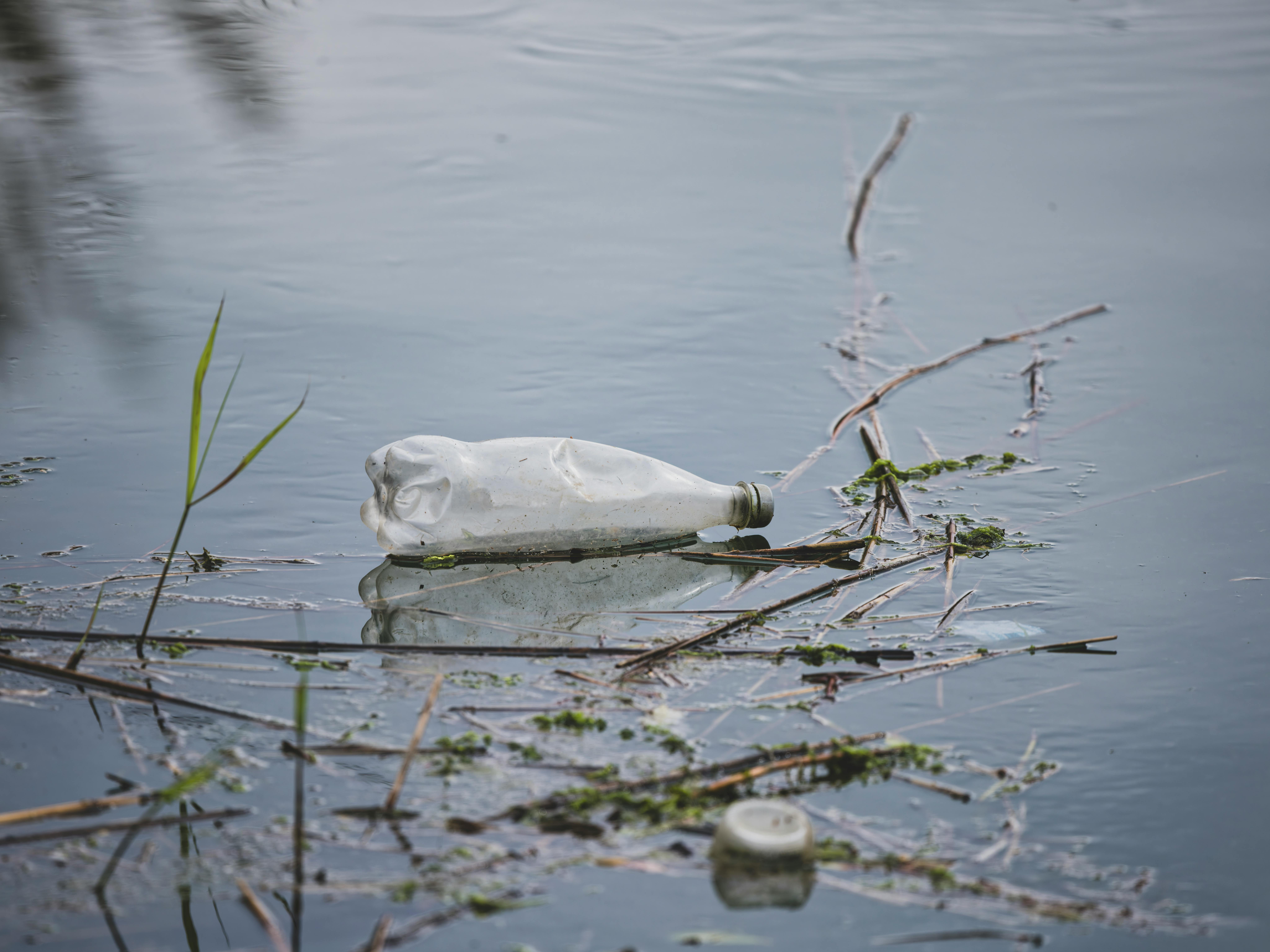 3 Reasons Christians Should Care about the Earth